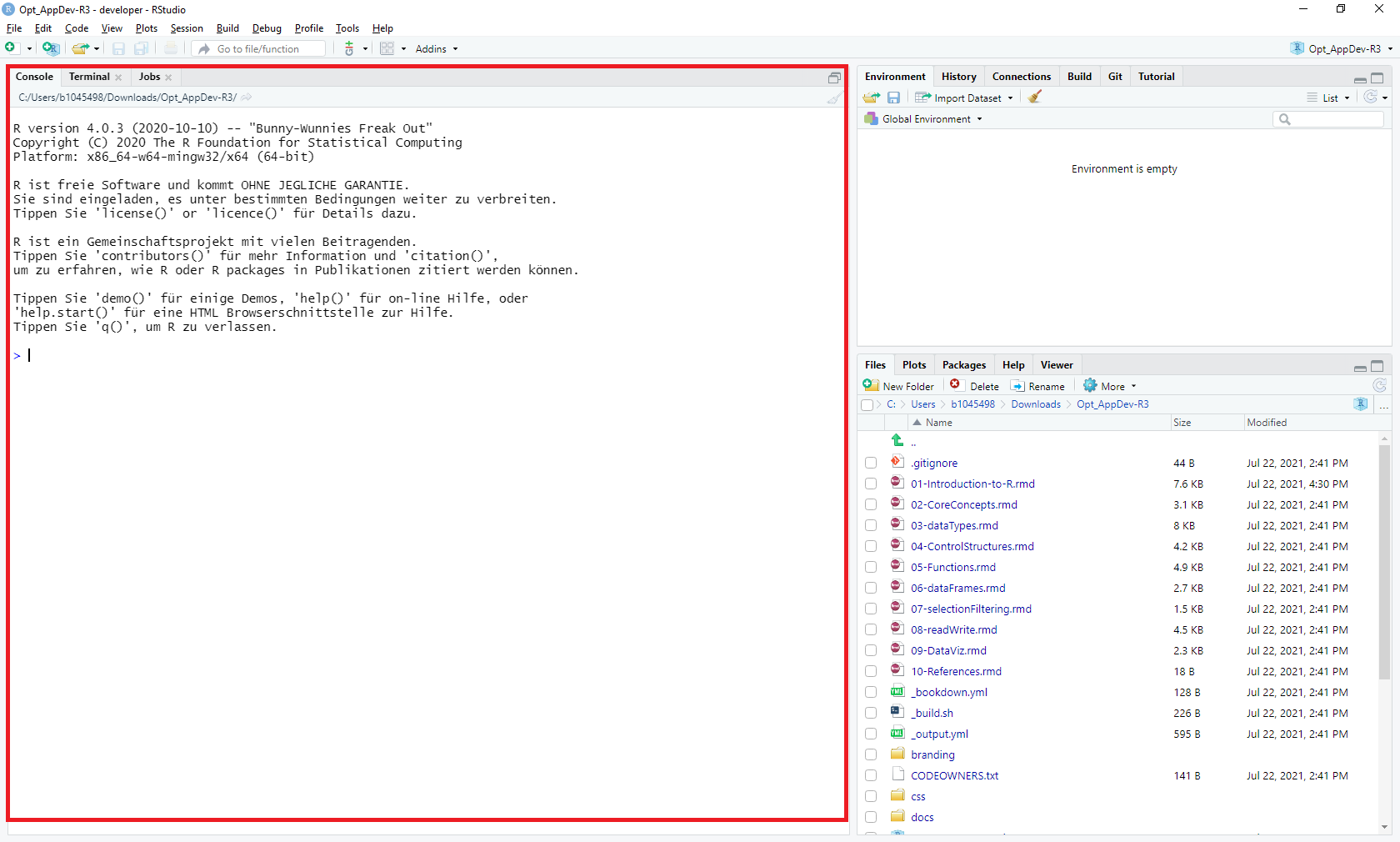 Console Window in RStudio