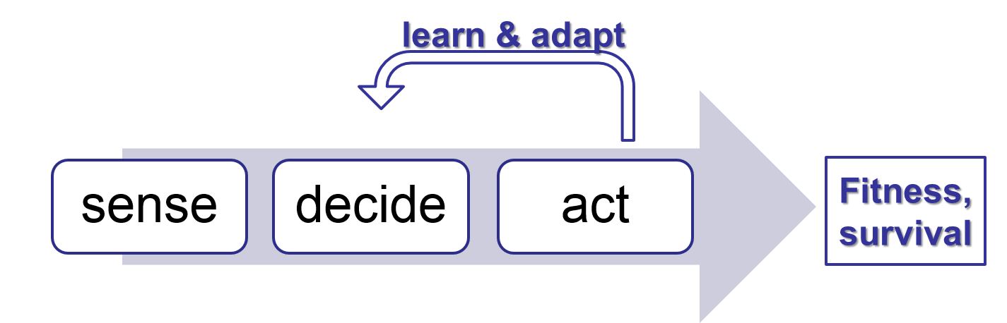 An (adaptive) trait is the set of all properties and behaviour that together define the potential ways in which an agent can act.
