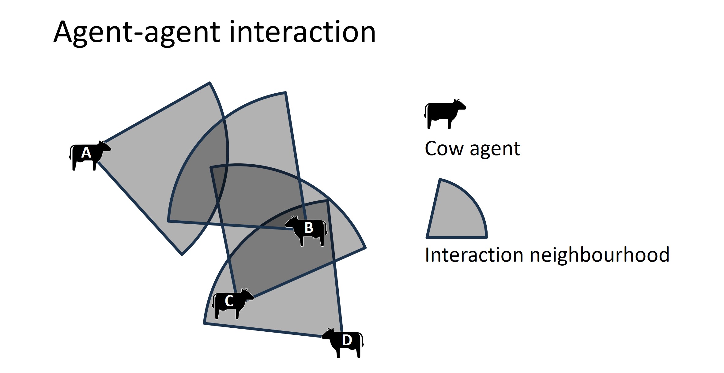 Four cow agents and their neighbourhoods. Cow C will adapt to cow B, and cow D will adapt to cows C and B. Cows A and B do not perceive any other cows in their neighbourhoods and thus they exhibt no adaptive behaviour.