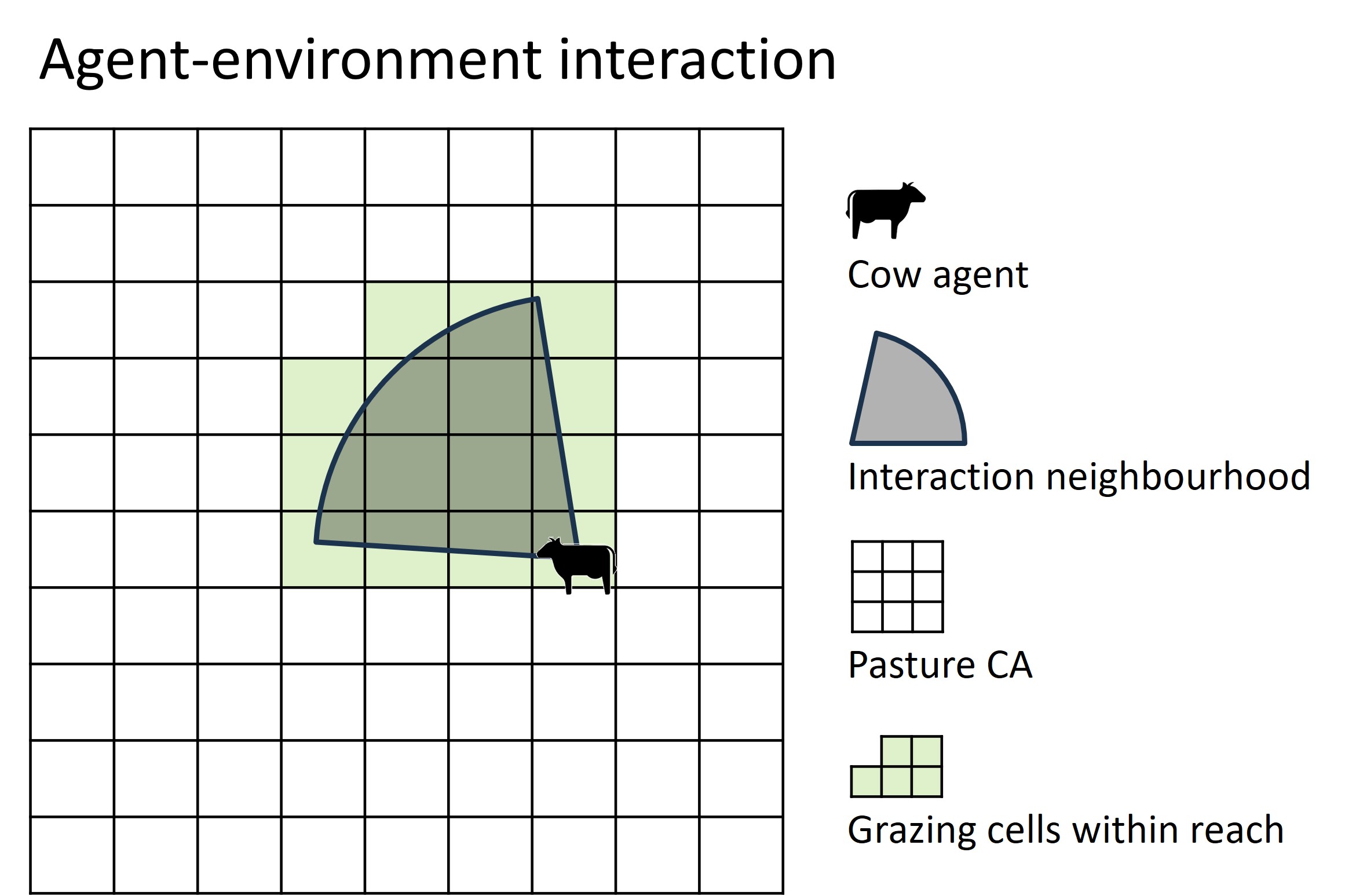 The cow agent scans its local neighbourhood for the best grazing spot.