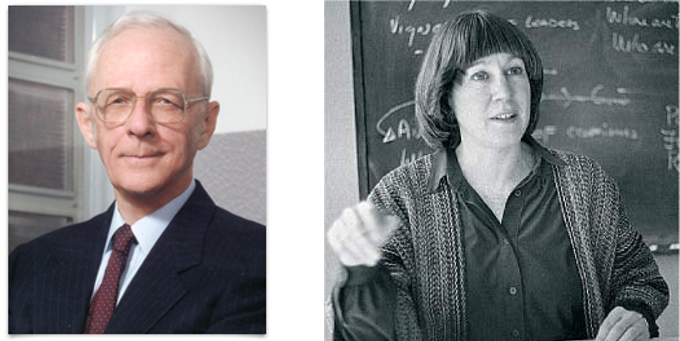 Jay Forrester (1918 - 2016) and Donella Meadows (1941 - 2001) developed the system dynamics modelling approach.