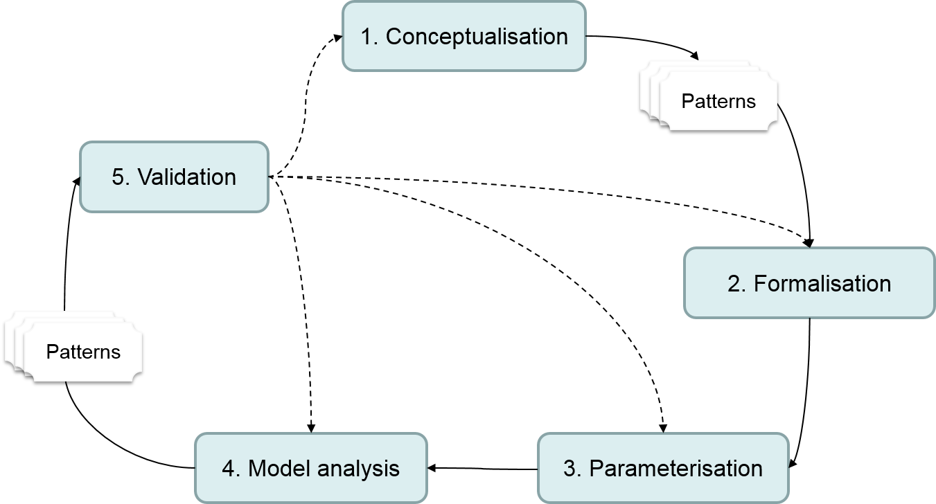 The five steps of the modelling cycle to develop a simulation model.