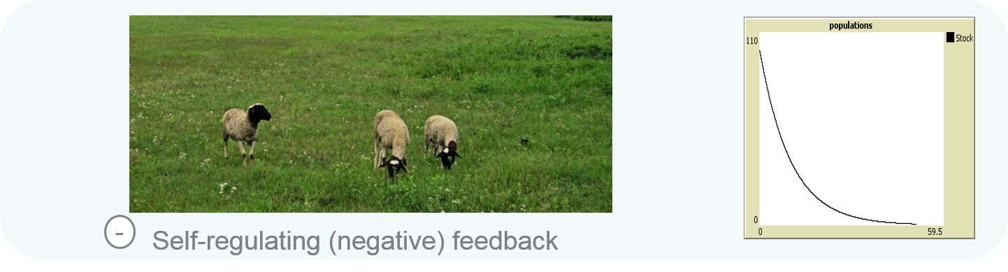Self-regulating (negative) feedback balances a system towards equilibrium