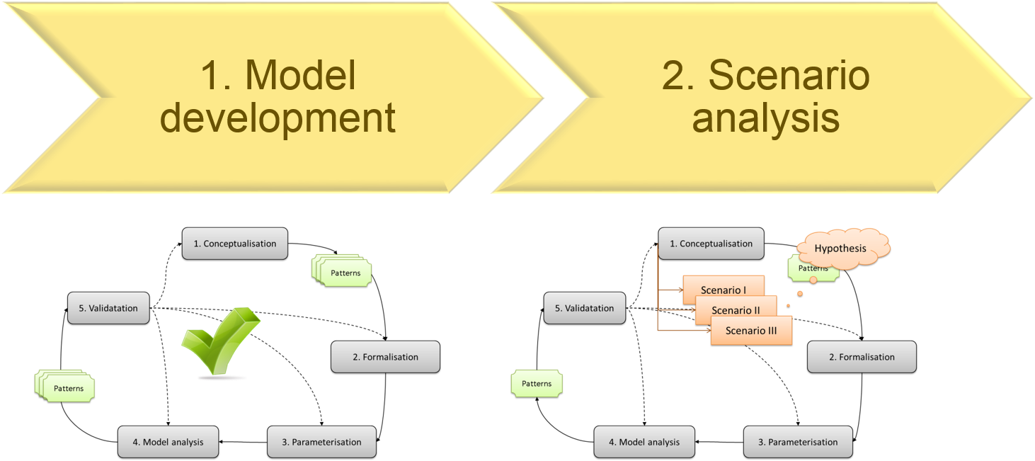 The workflow of conducting research with models.