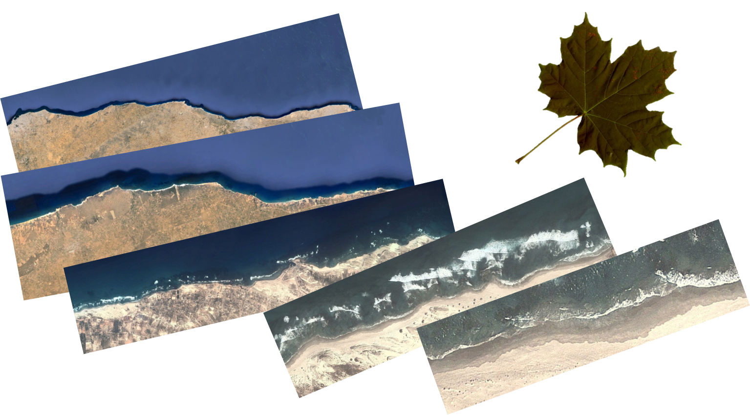 The shore of the northern African shoreline and the maple leaf are examples of self-similar structures in nature.