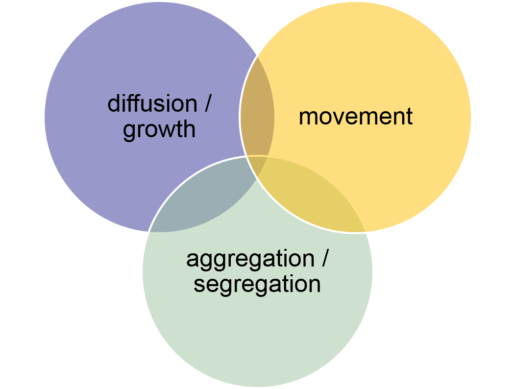 Every spatial process can be composed from the three basic processes: diffusion / growth, aggregations / segregation, and movement.